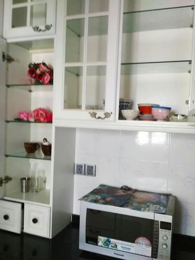 Darling'S Star Apartment George Town 0*,